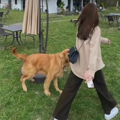 丛林地狱